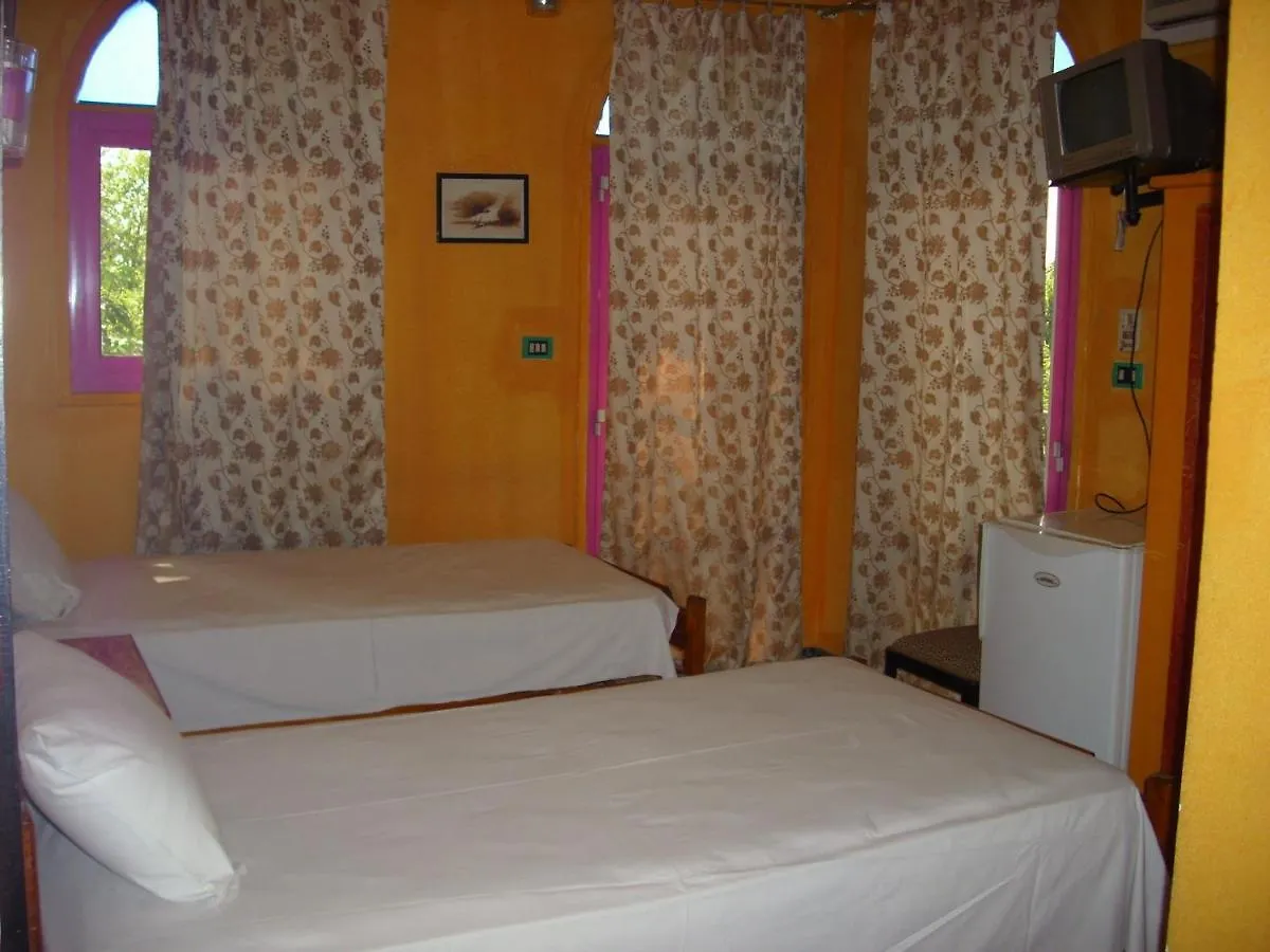 Ramsess Hostel Luxor Egypt